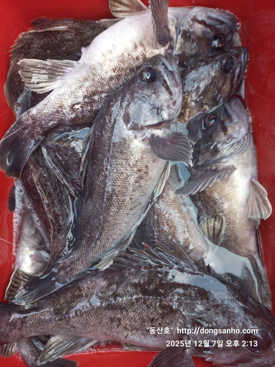 ab49e2ef79f925d6143da1f762d64438_1765528