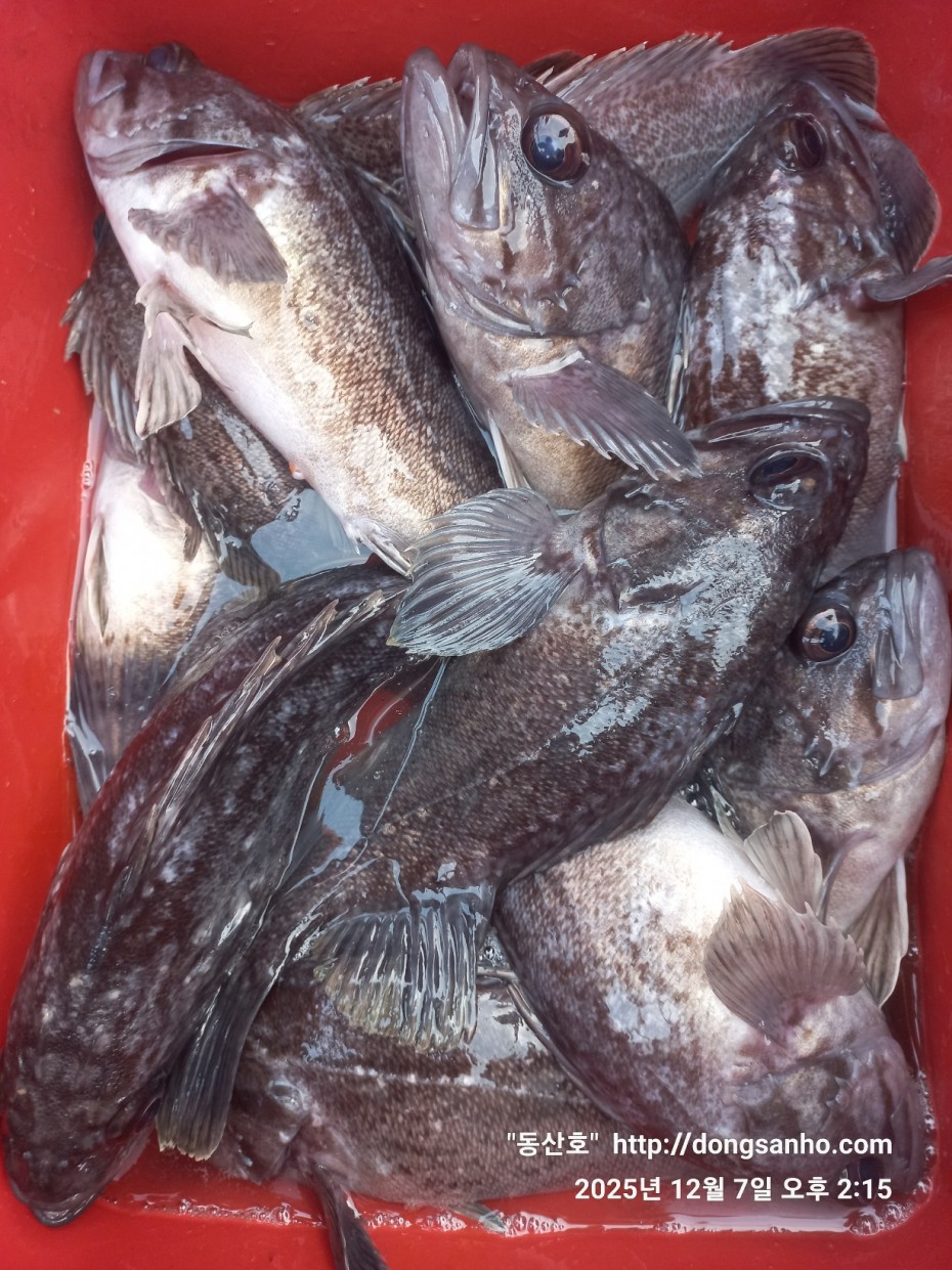 ab49e2ef79f925d6143da1f762d64438_1765528