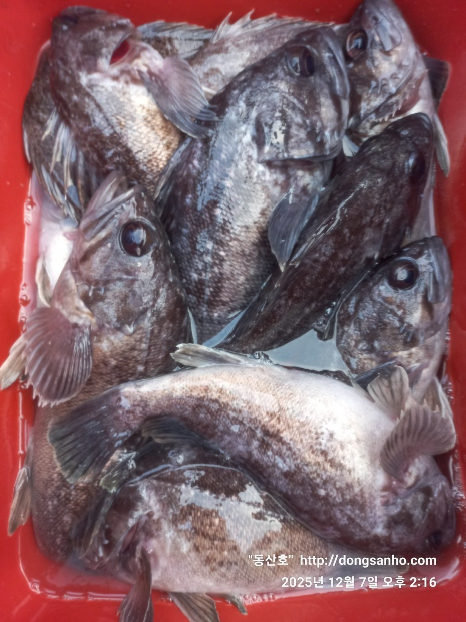 ab49e2ef79f925d6143da1f762d64438_1765528