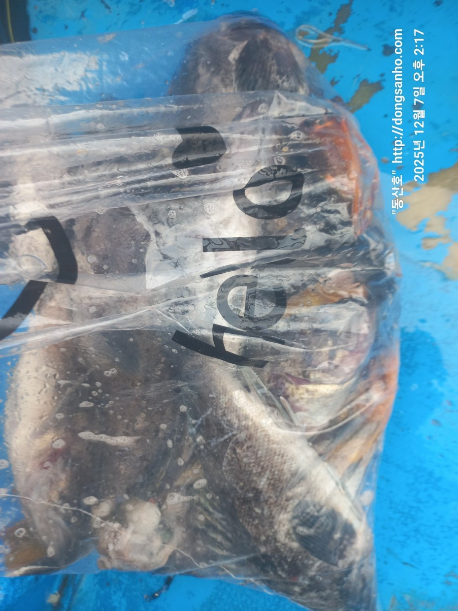 ab49e2ef79f925d6143da1f762d64438_1765528