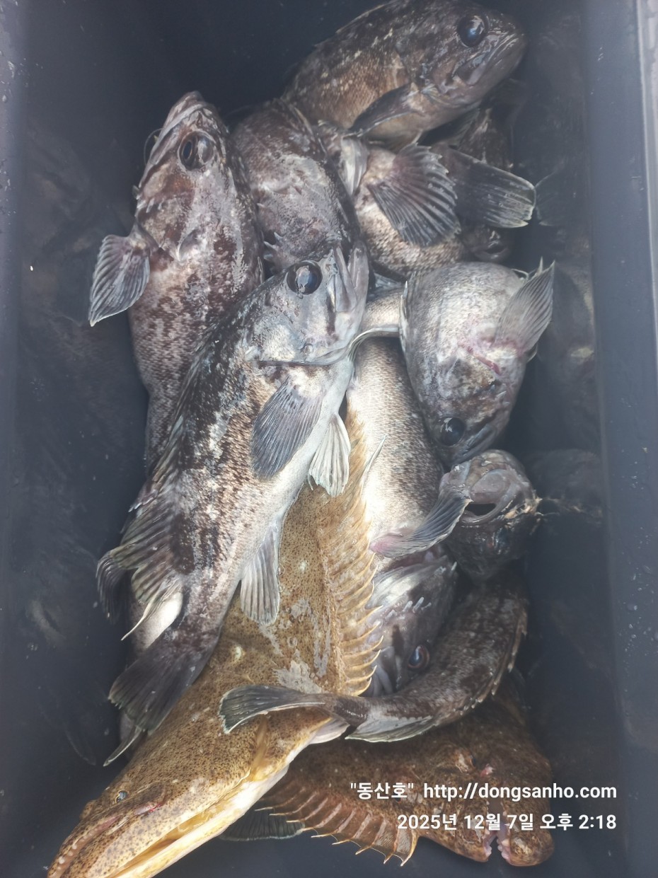 ab49e2ef79f925d6143da1f762d64438_1765528