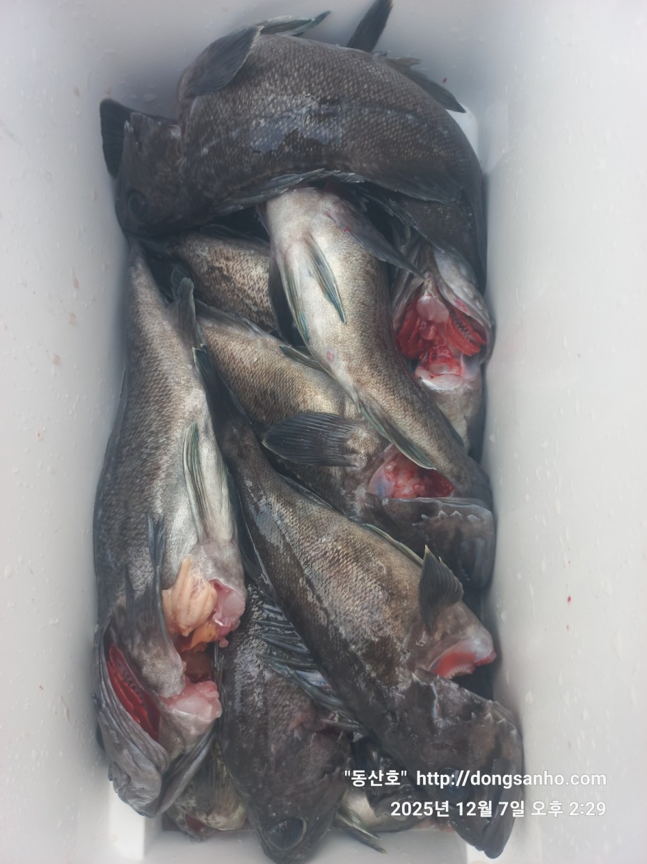 ab49e2ef79f925d6143da1f762d64438_1765528