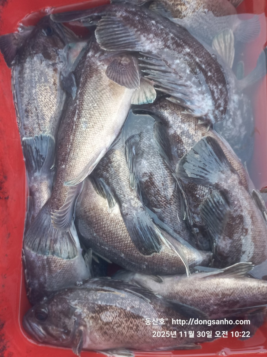 ead53c0bdd3f81d3ef14237467912b5d_1764543