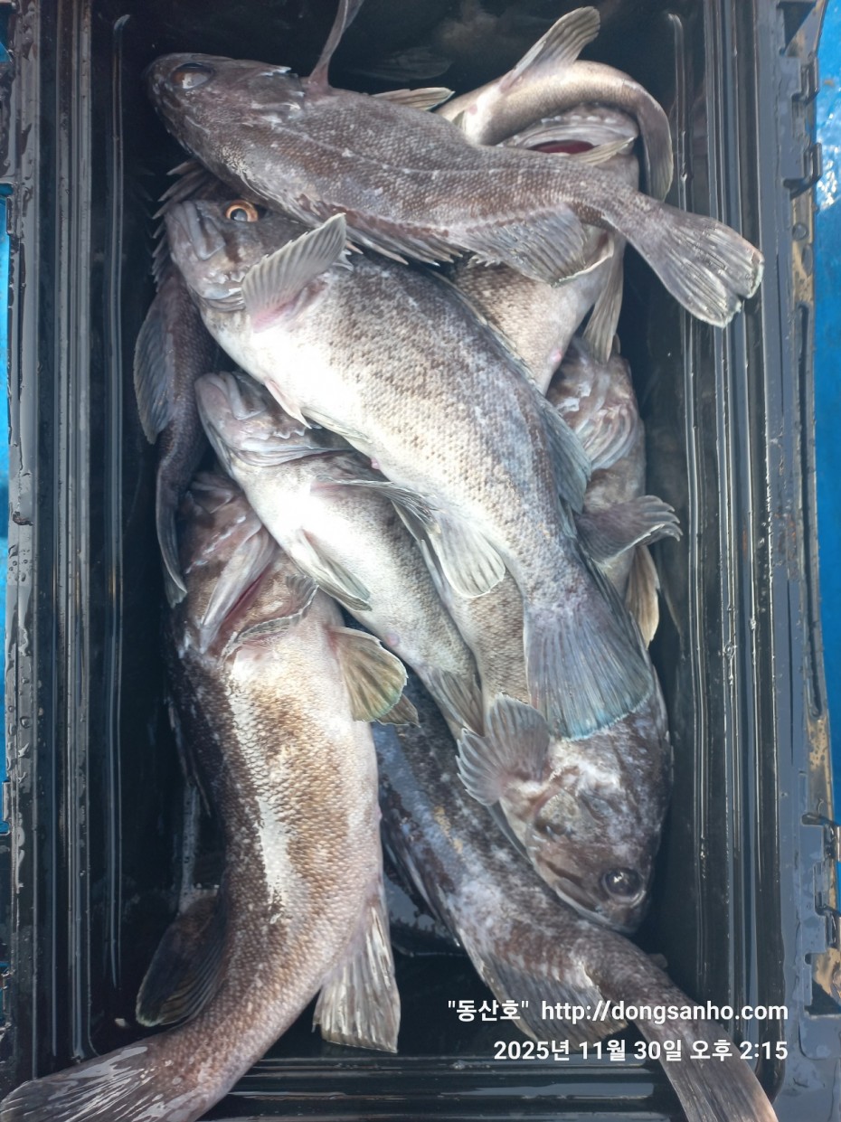 ead53c0bdd3f81d3ef14237467912b5d_1764543