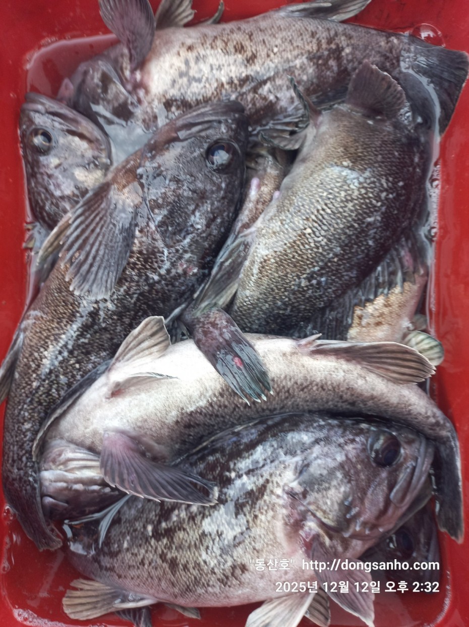 f122236a4d3e69e2ad7efdc33f5bf6e1_1765812