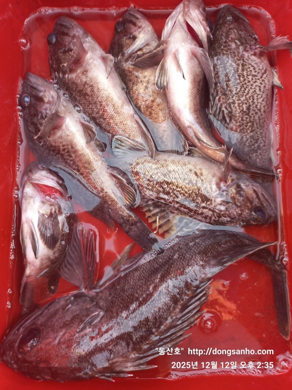 f122236a4d3e69e2ad7efdc33f5bf6e1_1765812