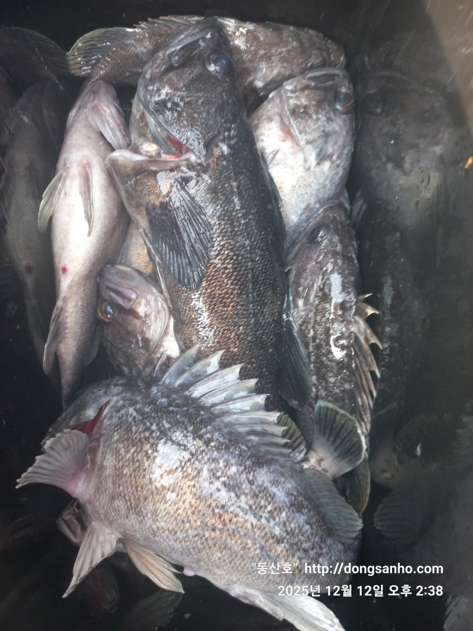 f122236a4d3e69e2ad7efdc33f5bf6e1_1765812