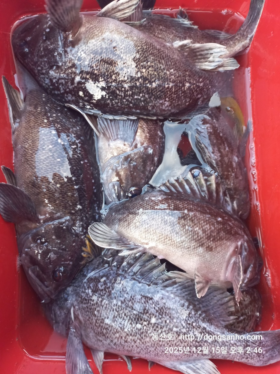 f122236a4d3e69e2ad7efdc33f5bf6e1_1765979