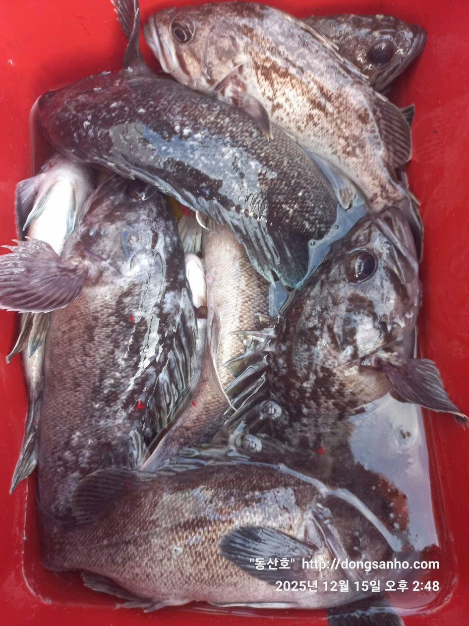 f122236a4d3e69e2ad7efdc33f5bf6e1_1765979