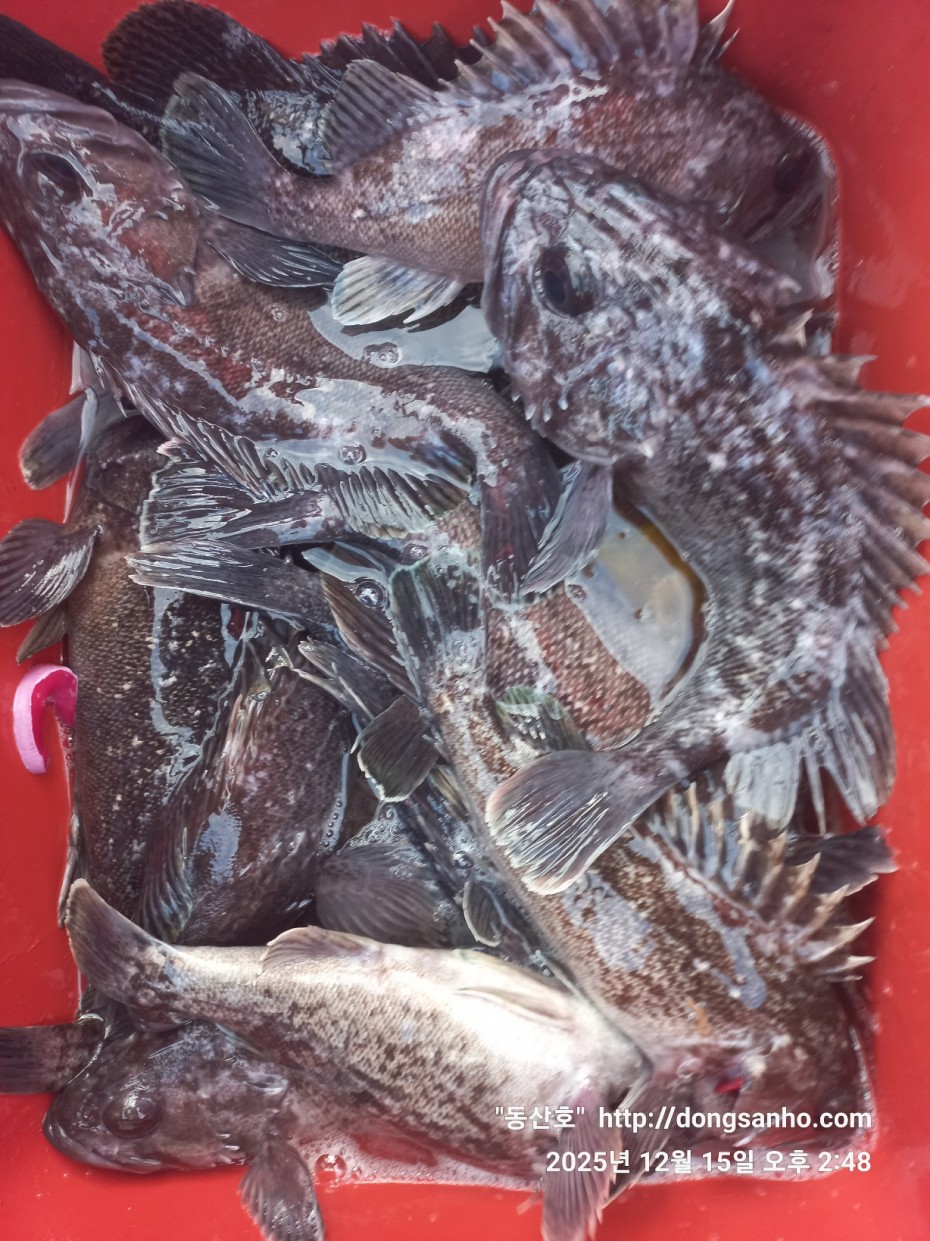 f122236a4d3e69e2ad7efdc33f5bf6e1_1765980