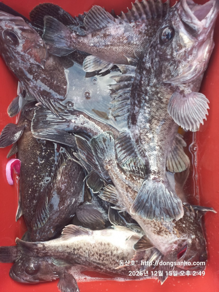 f122236a4d3e69e2ad7efdc33f5bf6e1_1765980