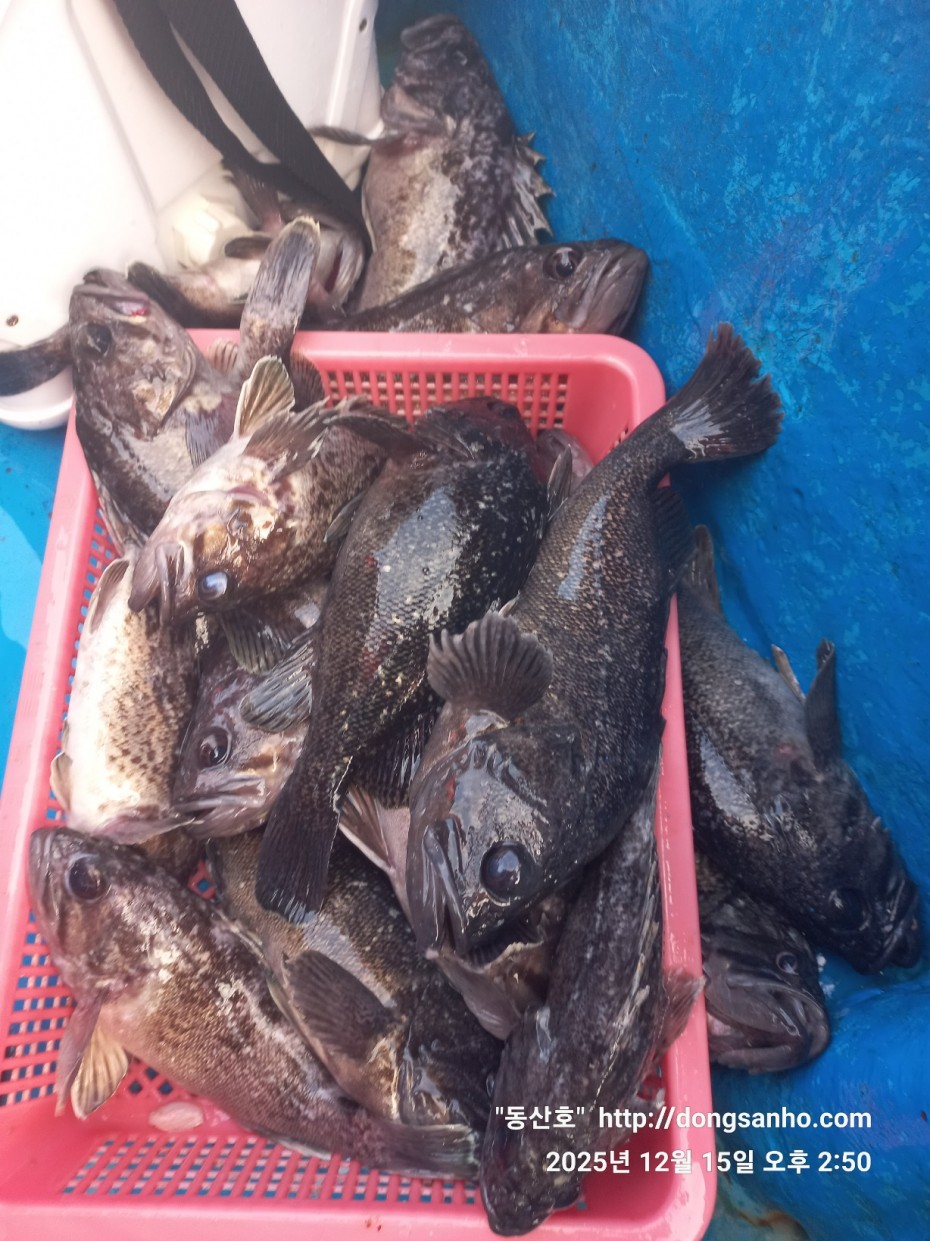 f122236a4d3e69e2ad7efdc33f5bf6e1_1765980