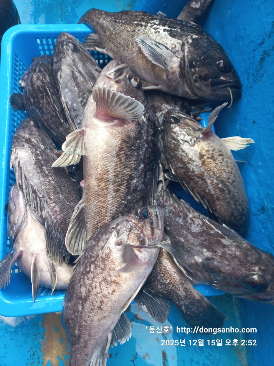 f122236a4d3e69e2ad7efdc33f5bf6e1_1765980