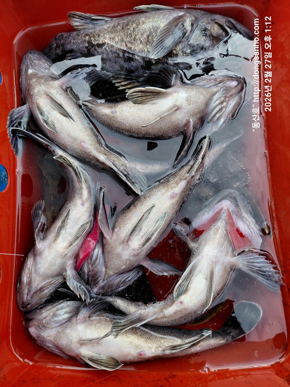 0f371ac289857bbc3096a6317423651f_1773492