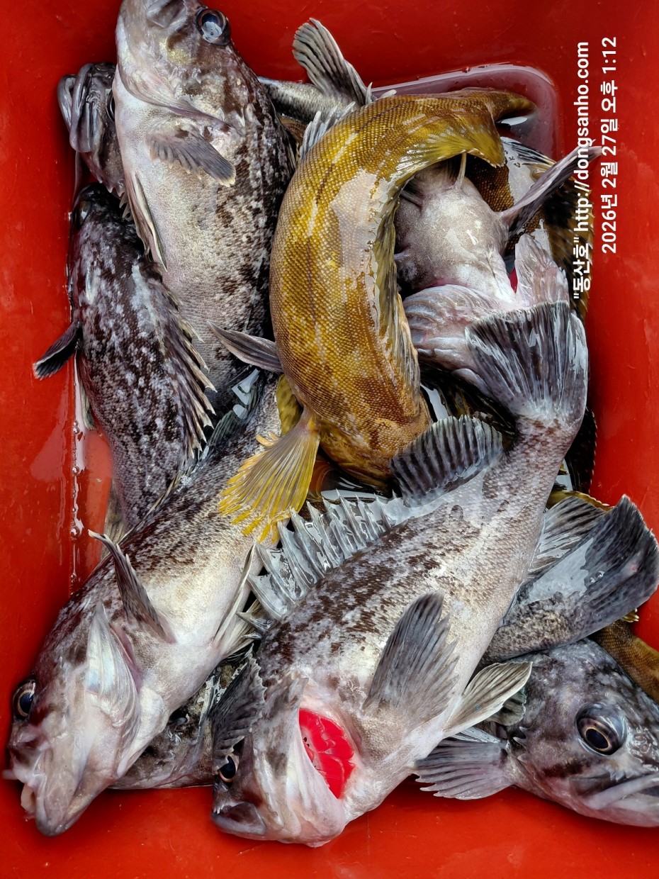 0f371ac289857bbc3096a6317423651f_1773492