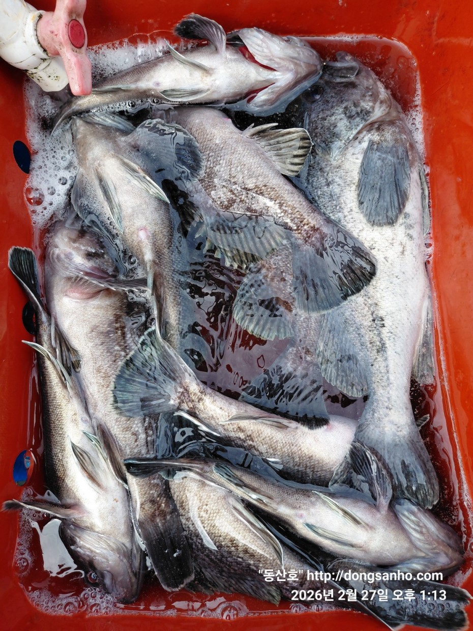 0f371ac289857bbc3096a6317423651f_1773492