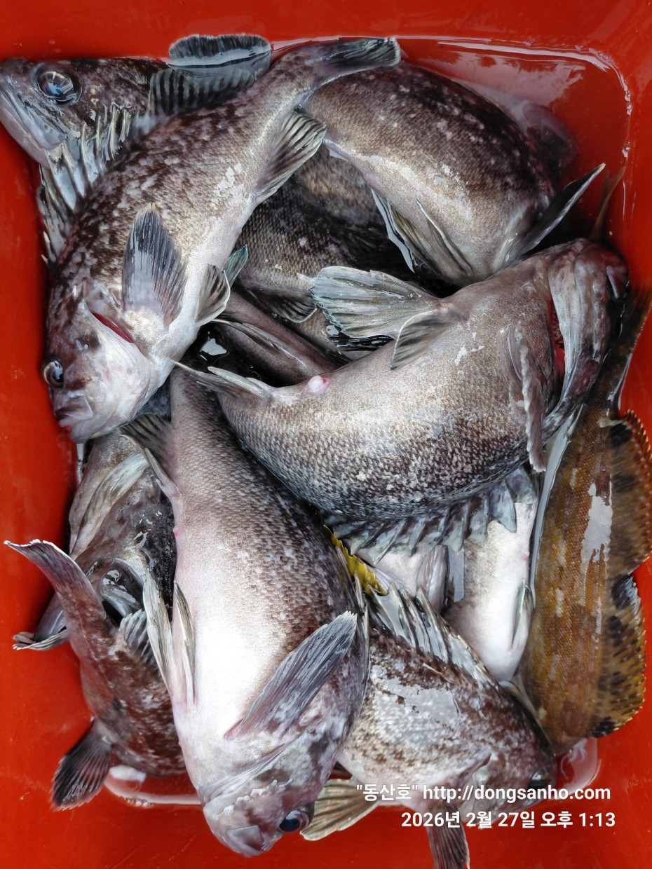 0f371ac289857bbc3096a6317423651f_1773492