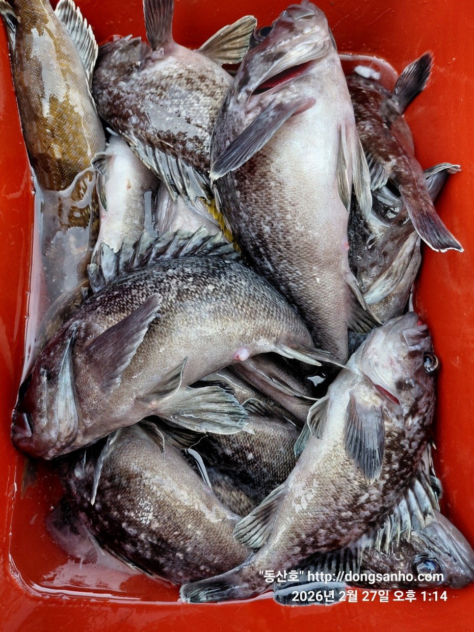 0f371ac289857bbc3096a6317423651f_1773492