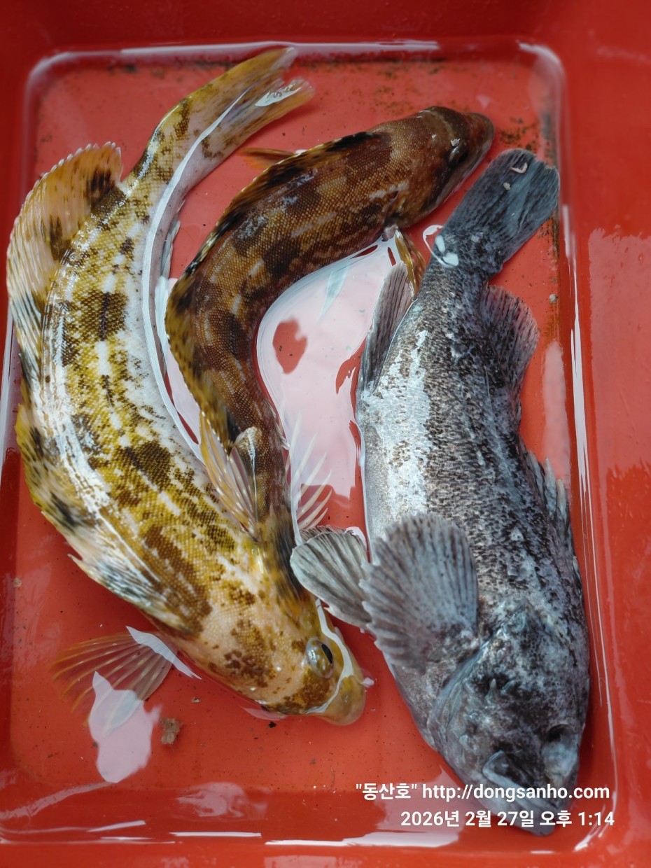 0f371ac289857bbc3096a6317423651f_1773492