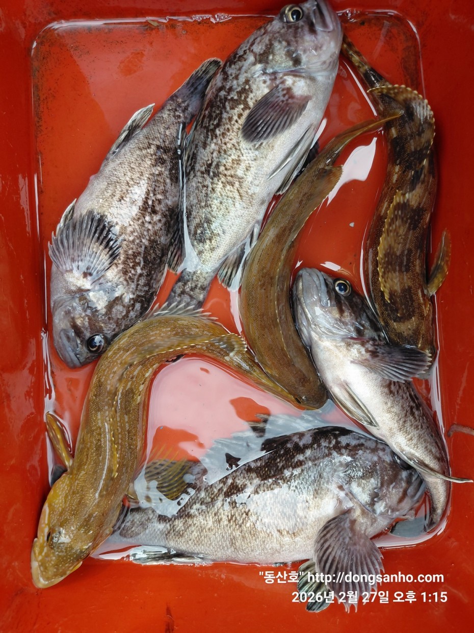 0f371ac289857bbc3096a6317423651f_1773492