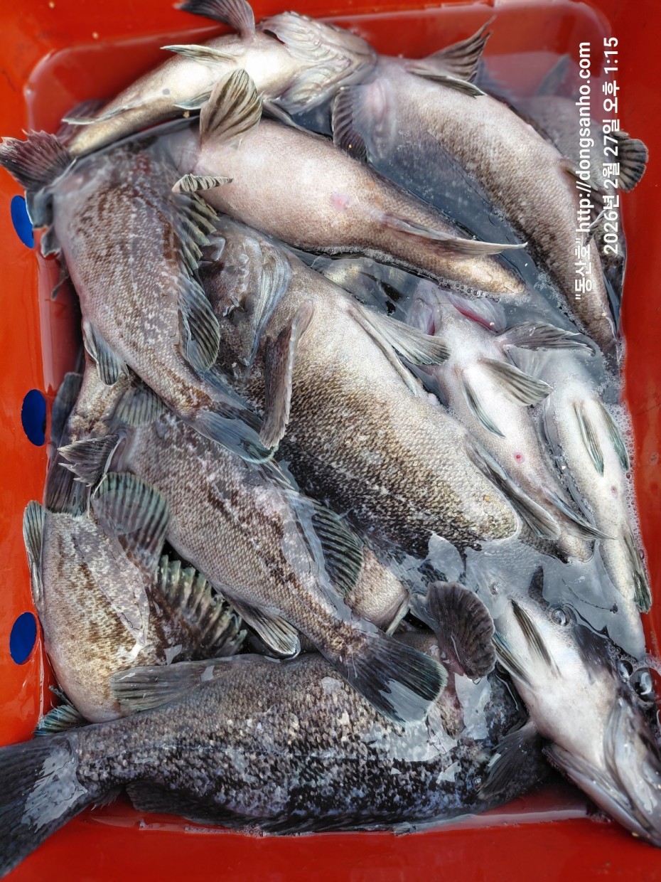 0f371ac289857bbc3096a6317423651f_1773492