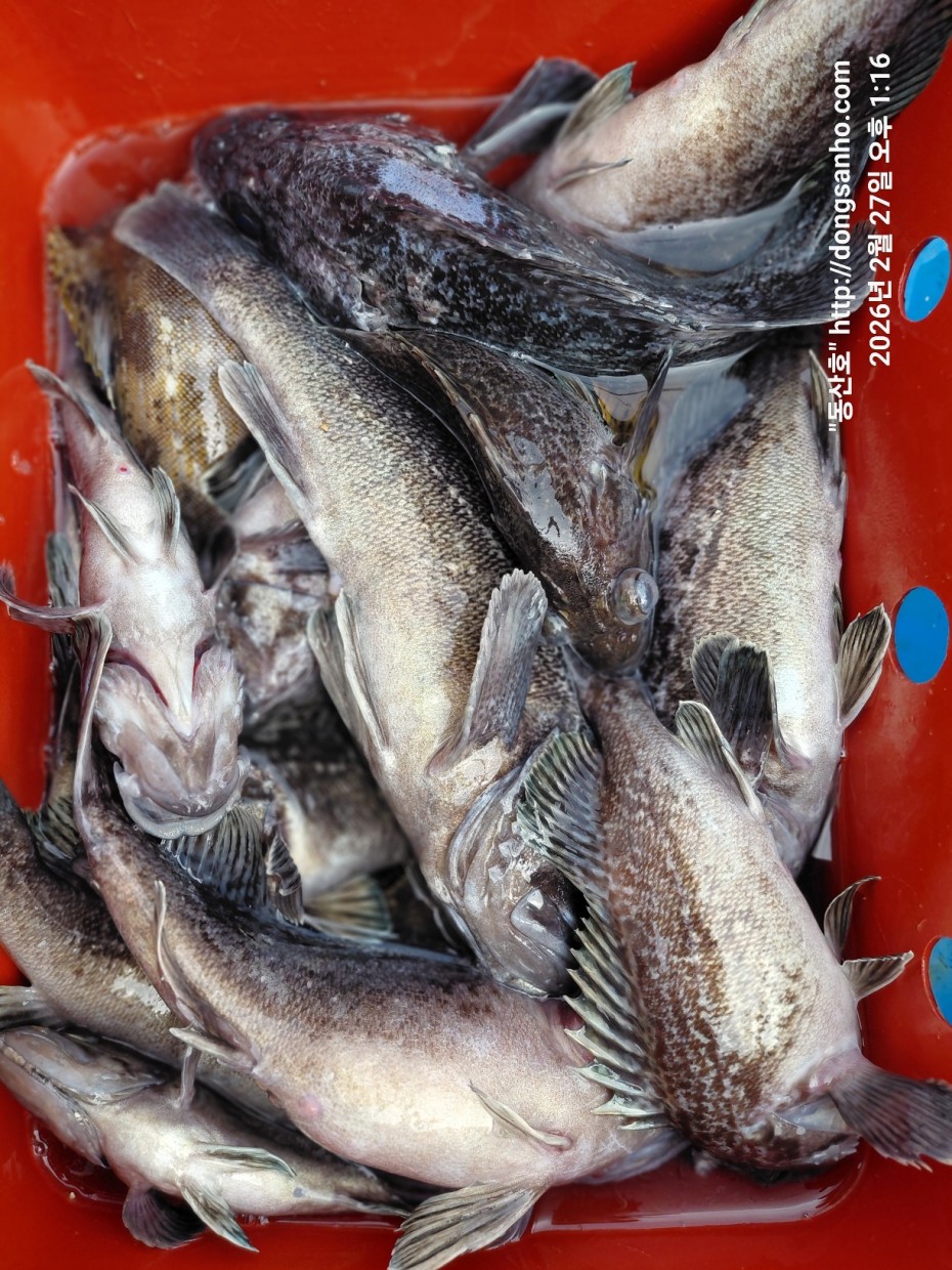 0f371ac289857bbc3096a6317423651f_1773492