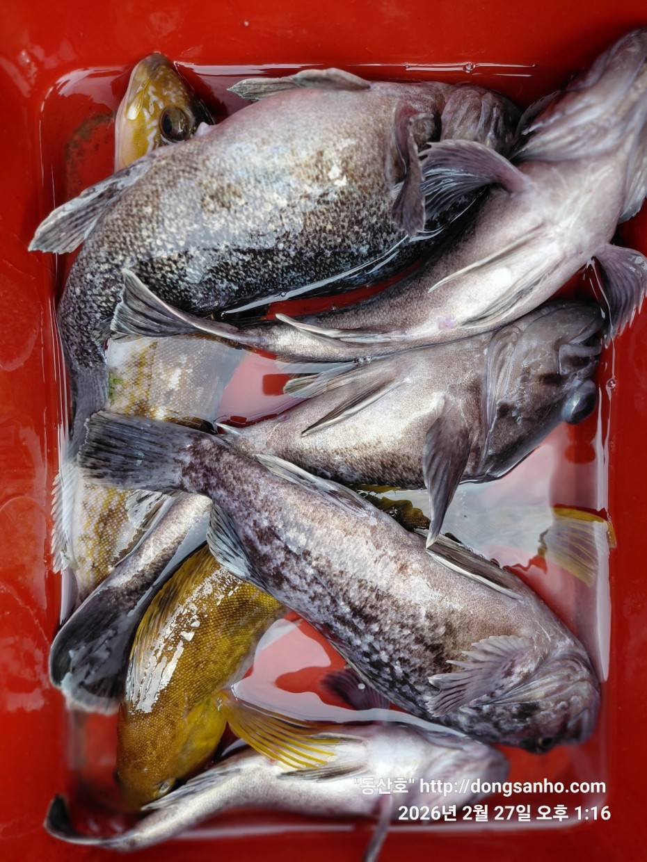 0f371ac289857bbc3096a6317423651f_1773492