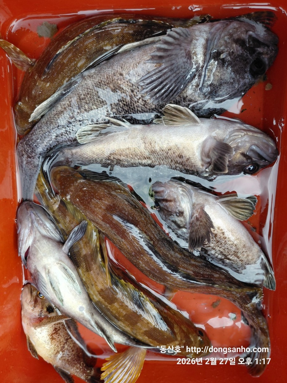 0f371ac289857bbc3096a6317423651f_1773492