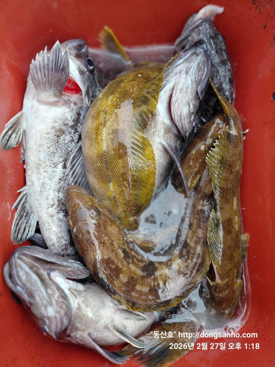 0f371ac289857bbc3096a6317423651f_1773492