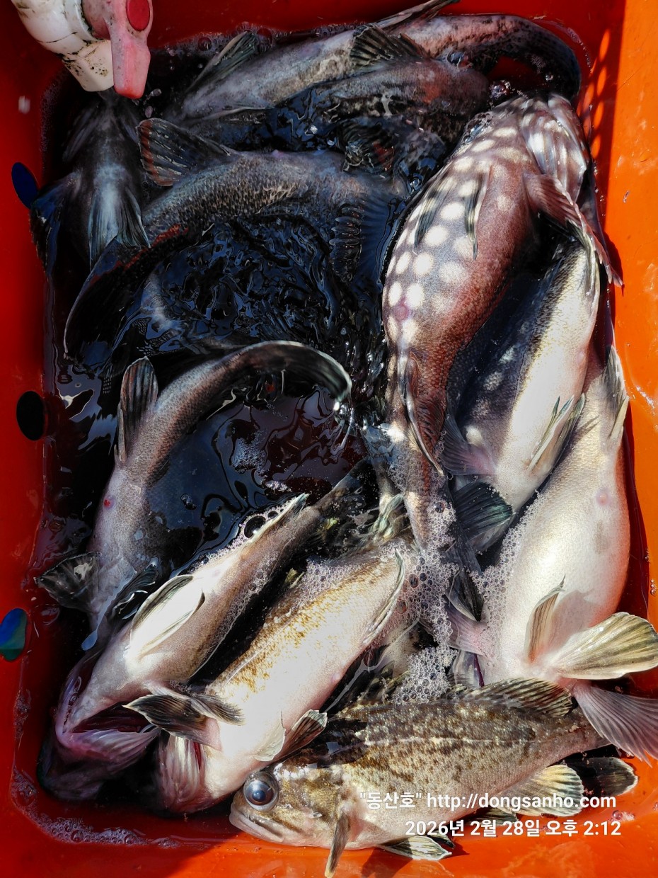 0f371ac289857bbc3096a6317423651f_1773493