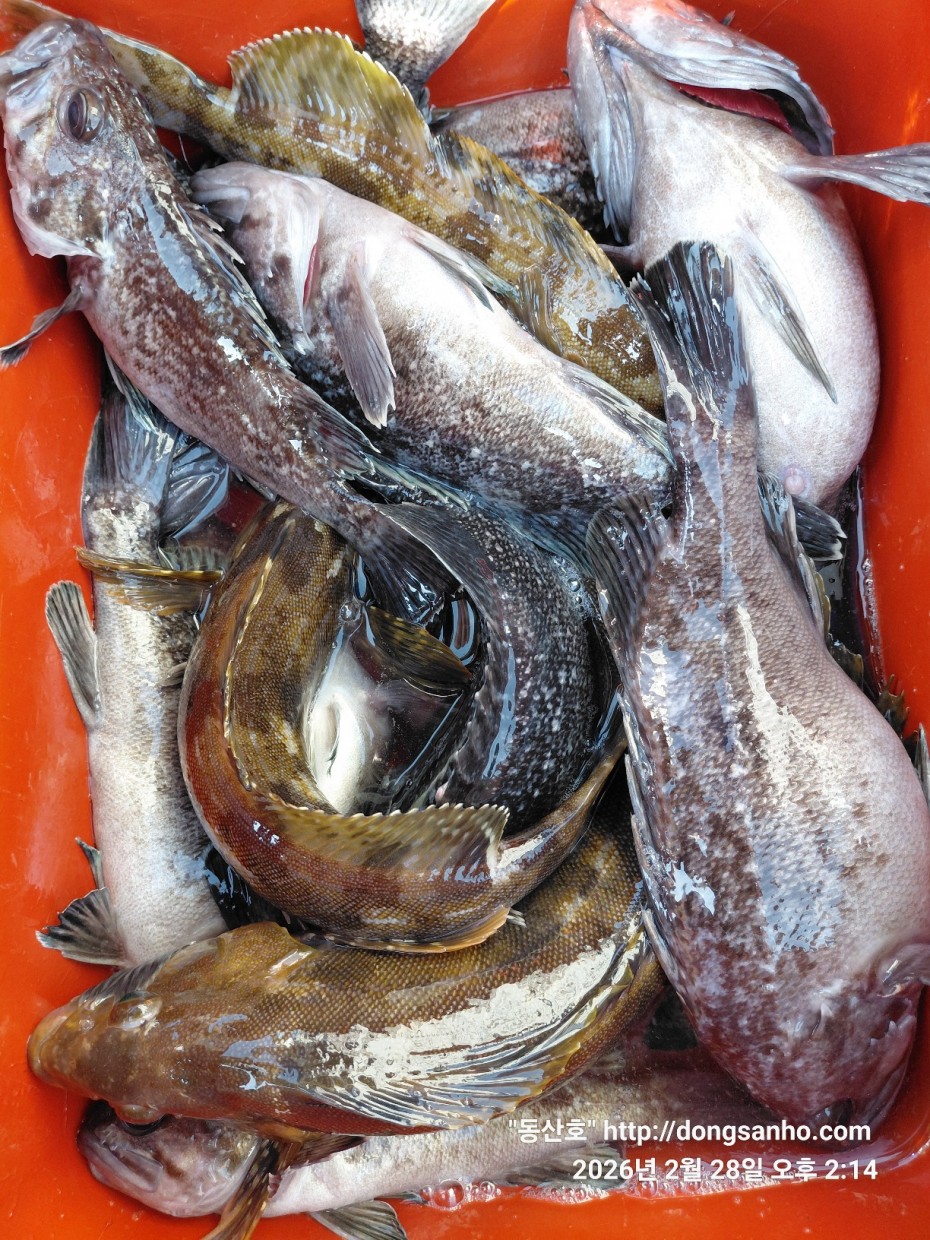 0f371ac289857bbc3096a6317423651f_1773493