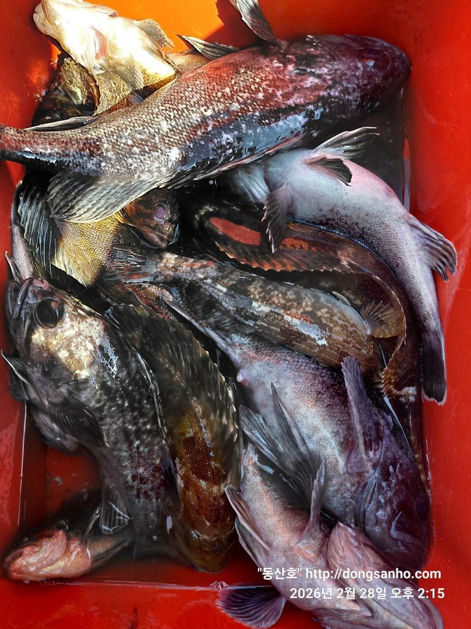 0f371ac289857bbc3096a6317423651f_1773493