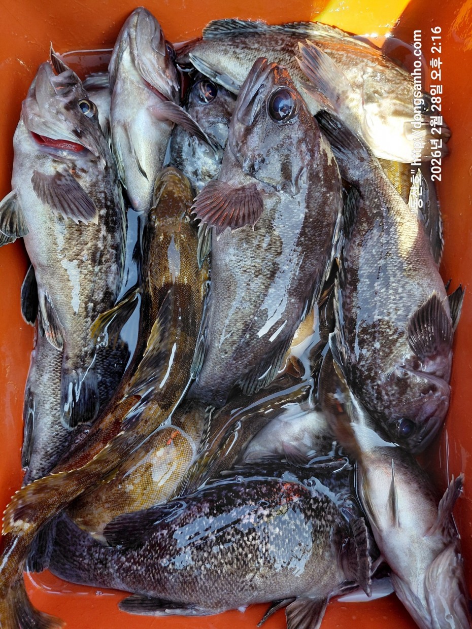 0f371ac289857bbc3096a6317423651f_1773493