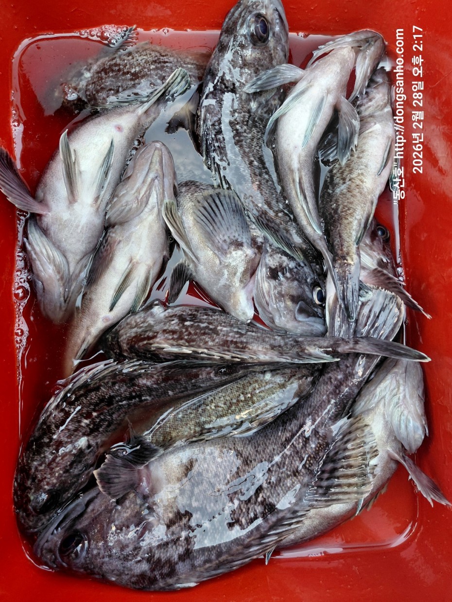 0f371ac289857bbc3096a6317423651f_1773493