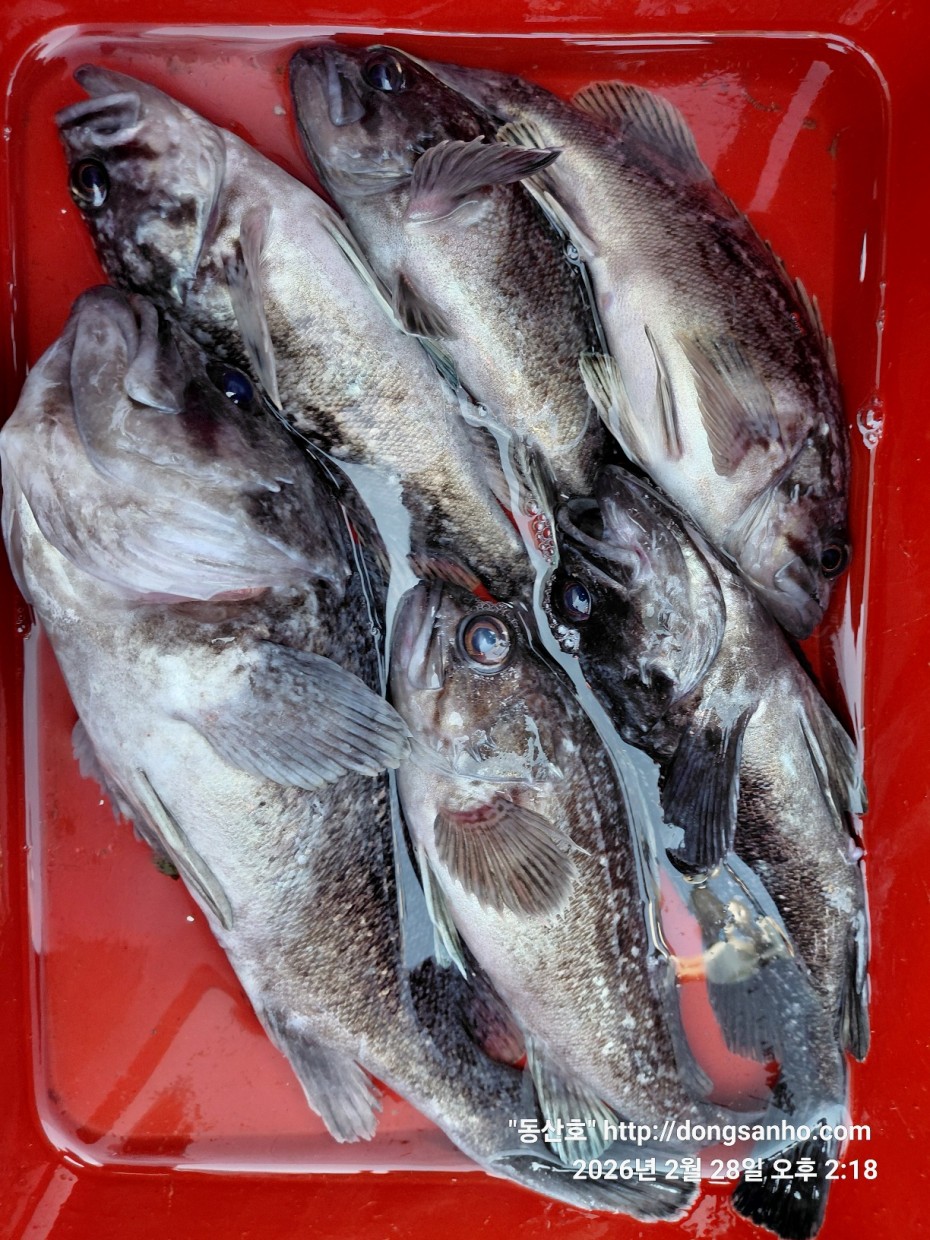 0f371ac289857bbc3096a6317423651f_1773493