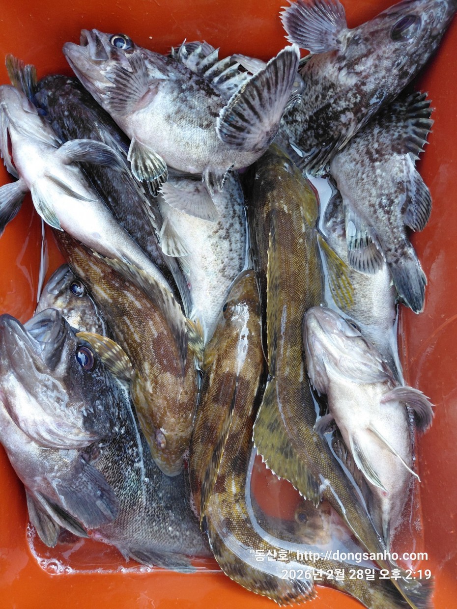 0f371ac289857bbc3096a6317423651f_1773493