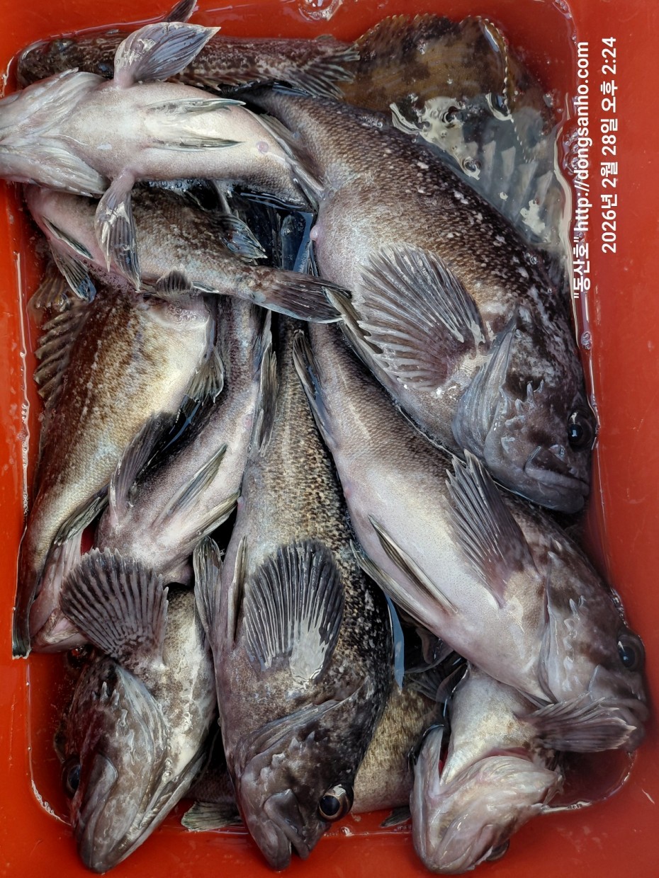 0f371ac289857bbc3096a6317423651f_1773493