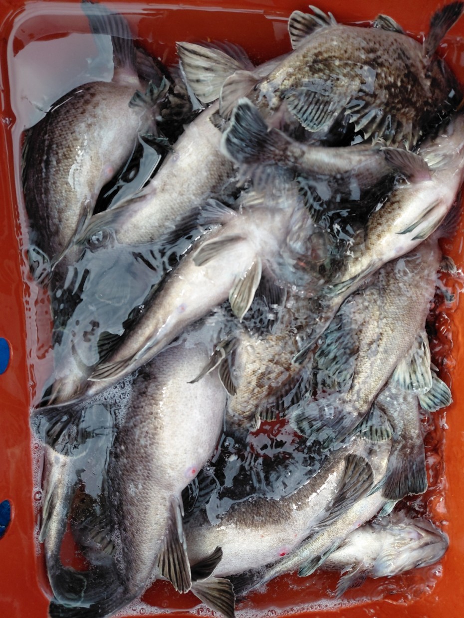 0f371ac289857bbc3096a6317423651f_1773500