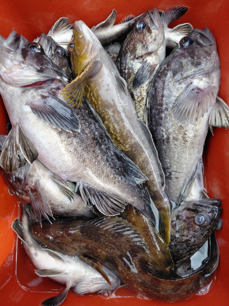 0f371ac289857bbc3096a6317423651f_1773500