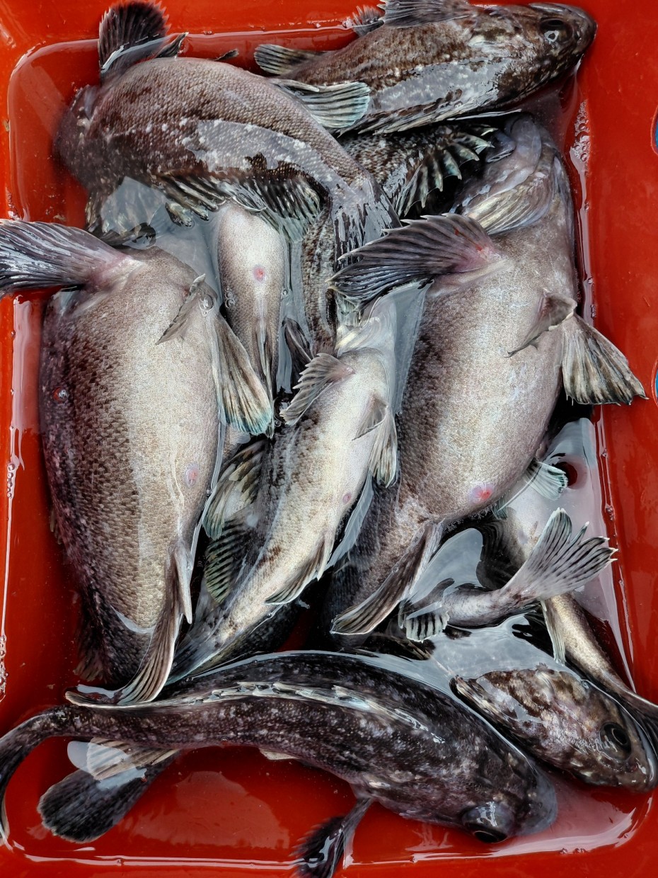 0f371ac289857bbc3096a6317423651f_1773500