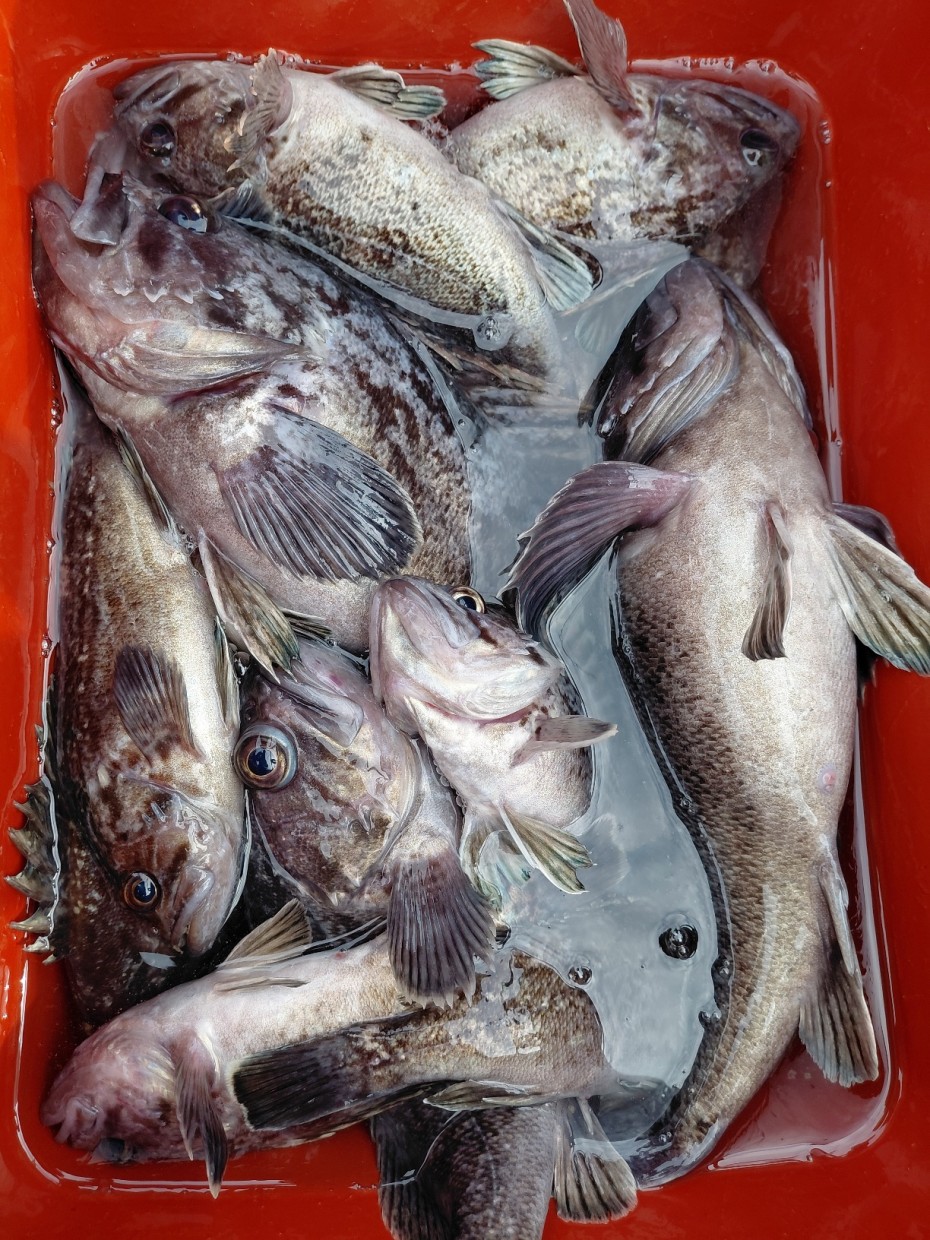 0f371ac289857bbc3096a6317423651f_1773500