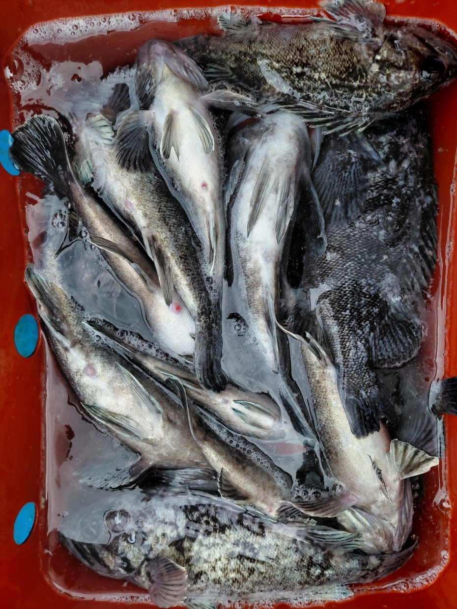 0f371ac289857bbc3096a6317423651f_1773500