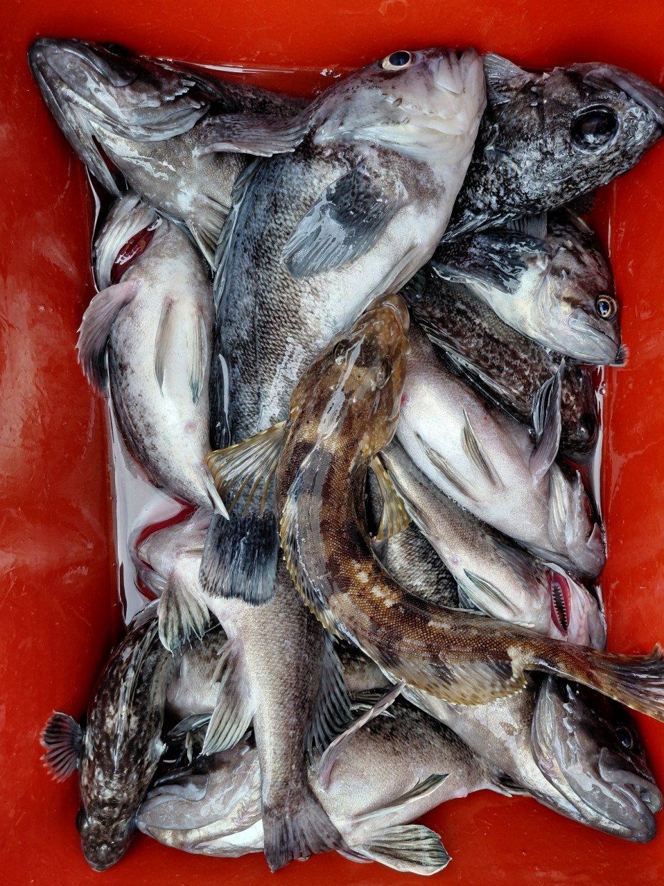 0f371ac289857bbc3096a6317423651f_1773500