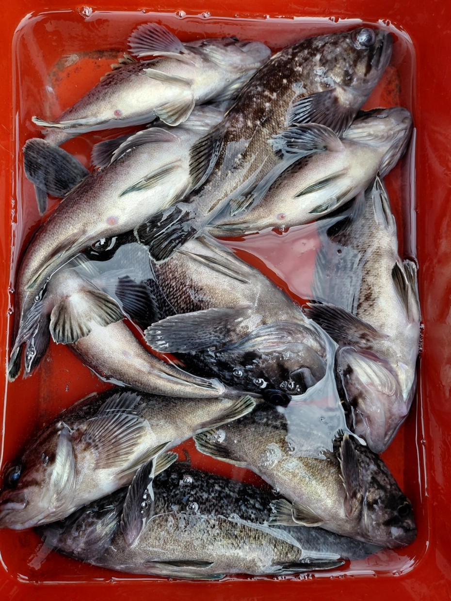 0f371ac289857bbc3096a6317423651f_1773500