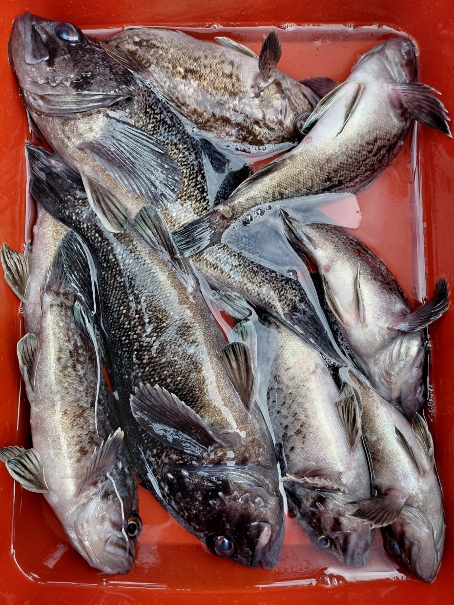 0f371ac289857bbc3096a6317423651f_1773501