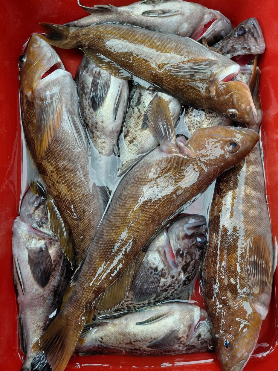 0f371ac289857bbc3096a6317423651f_1773501