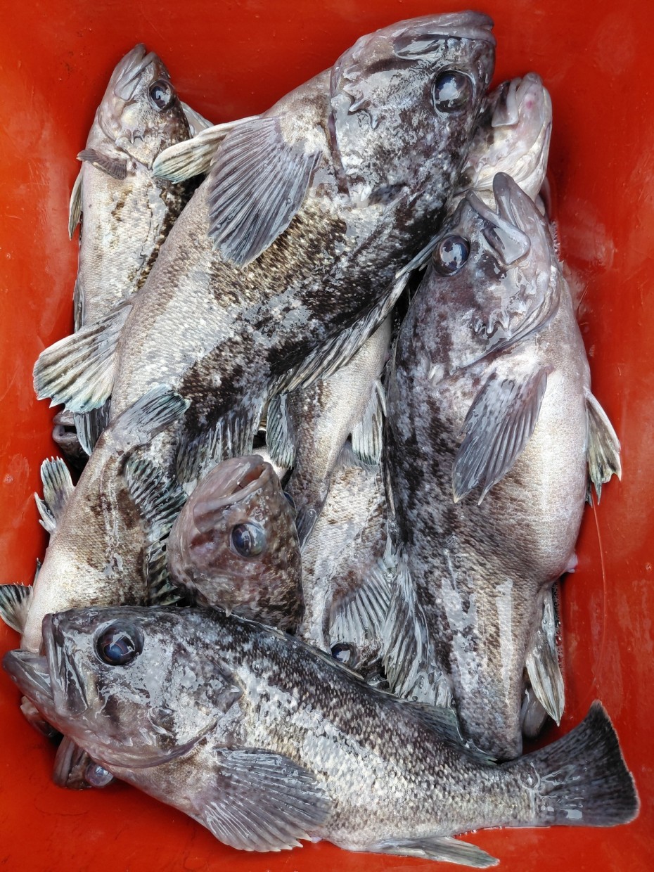 0f371ac289857bbc3096a6317423651f_1773501