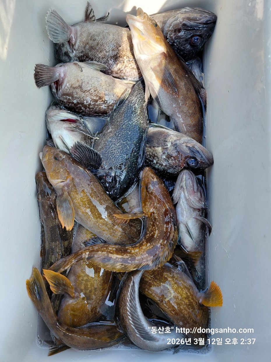 8071bcb8f0a16b6f4969e02e5d1cab3c_1773532