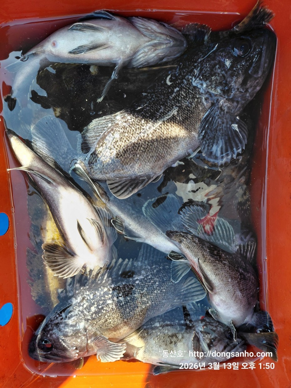 8071bcb8f0a16b6f4969e02e5d1cab3c_1773532