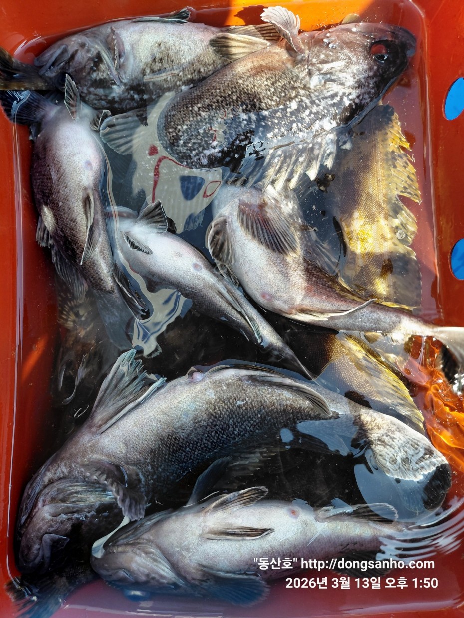 8071bcb8f0a16b6f4969e02e5d1cab3c_1773532